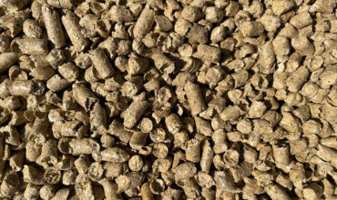 Pellets de cáscara de soja